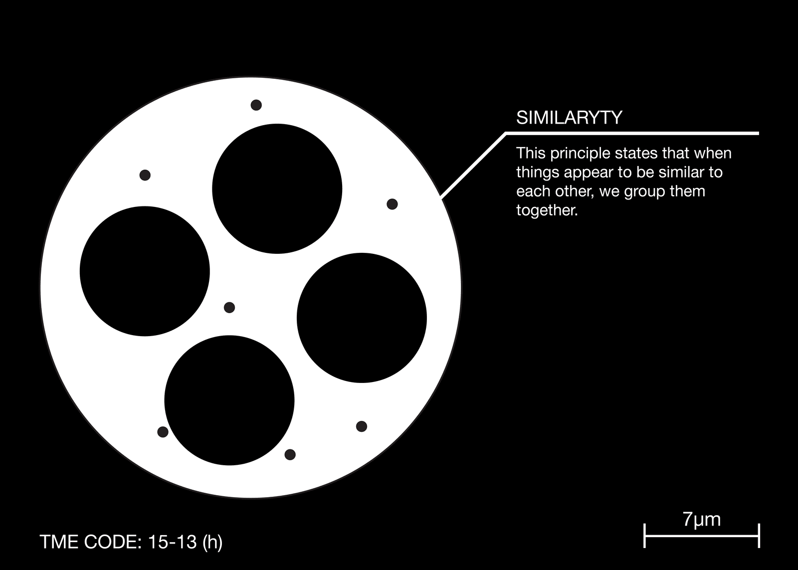 dettaglio con cellule e descrizione della legge della similitudine della gestalt